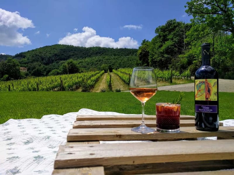 MONTEPULCIANO - PIC NIC WITH WINE! SURROUNDED BY VINEYARDS - Walking through the Sangiovese vineyard