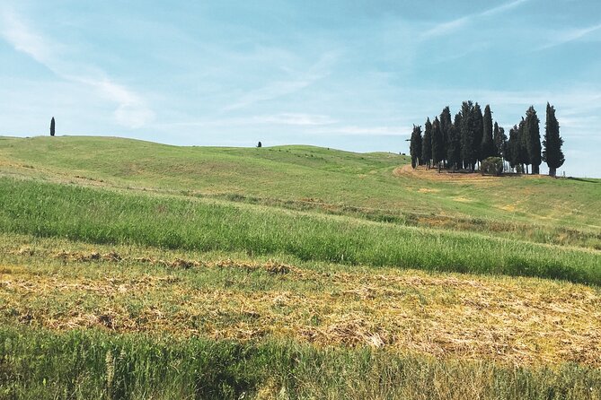 Montepulciano Vineyards Wine Tour with 3 Estates Visit - Montepulciano is a short visit, not a full town tour