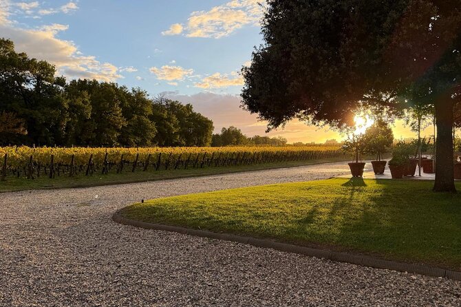 Montepulciano Vineyards Wine Tour with 3 Estates Visit - Booking details that deserve attention