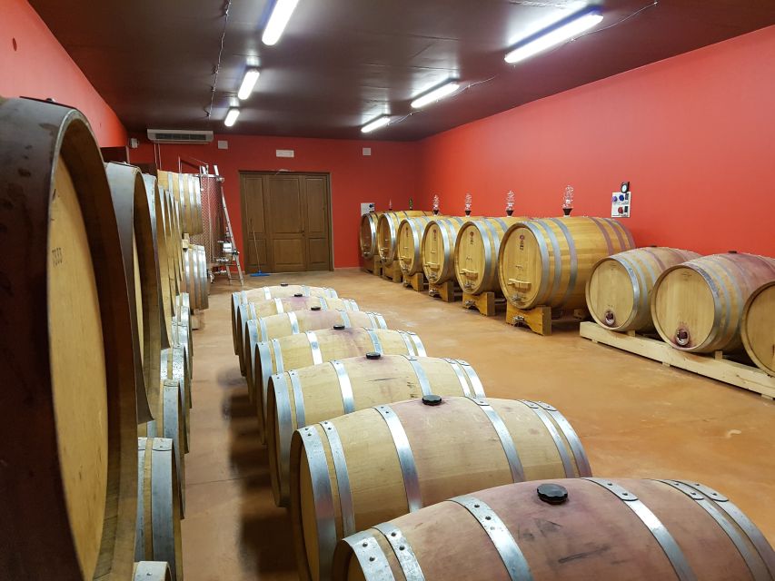 Montepulciano: Winery Tour, Tasting, and Vineyard Picnic - A vineyard picnic with a full bottle of wine