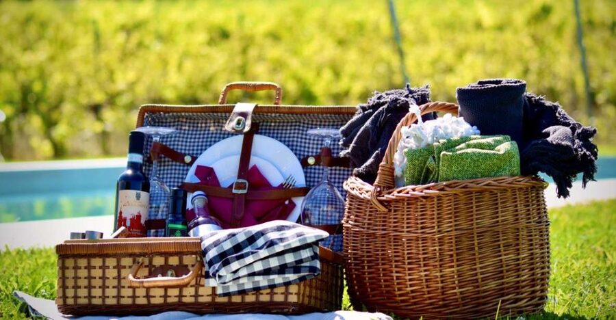 Montepulciano: Winery Tour, Tasting, and Vineyard Picnic - The one-hour wine tasting