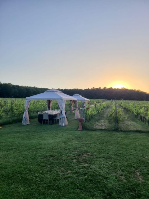 Montepulciano: Winery Tour, Tasting, and Vineyard Picnic - Should you book Podere Casanova?
