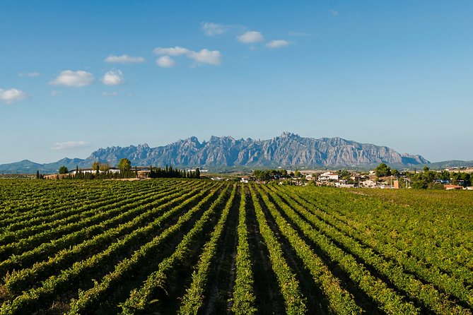 Montserrat,Vineyard, Wine Tasting Small Group Tour & Hotel Pickup - The Penedès route and the capital of cava