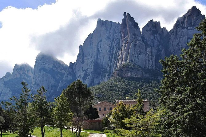 Montserrat,Vineyard, Wine Tasting Small Group Tour & Hotel Pickup - Price, pace, and who gets good value