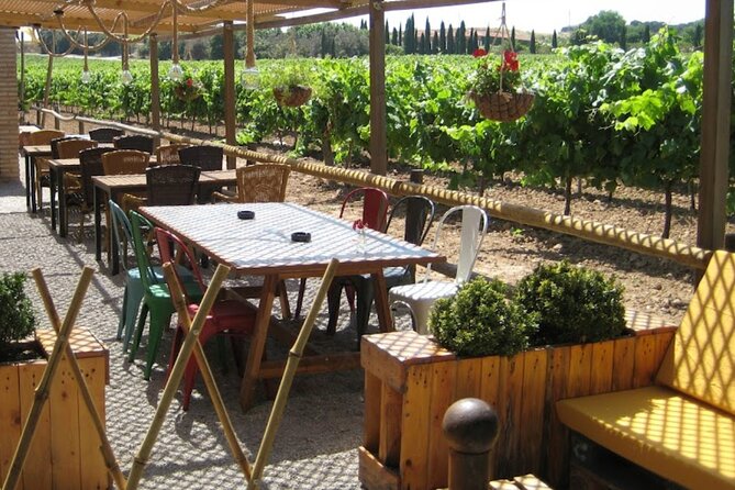 Montserrat & Winery Visit Tour with Traditional Farmhouse Lunch - Meeting in front of the Palau de la Música