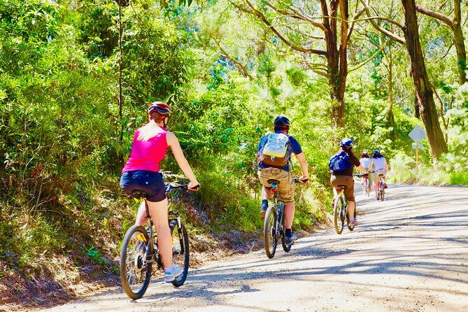 Mornington Peninsula Self-Guided Bike Tour | Food & Wine Region - Starting at Seawinds Gardens with a proper briefing
