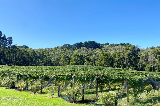 Mornington Peninsula Self-Guided Bike Tour | Food & Wine Region - Stonier Wines at the bottom of the rail trail