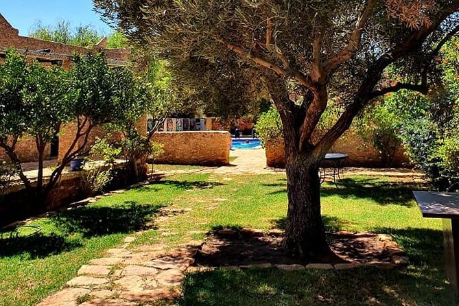 Morocco Vineyard Visit and Gourmet Tours - Marrakech turns the medina into a tasting menu