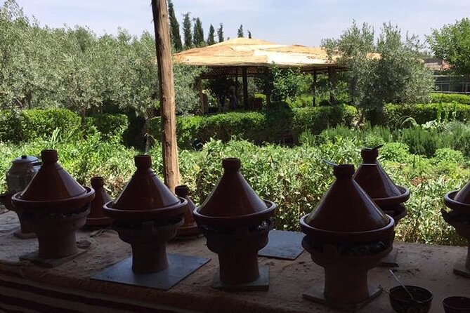 Morocco Vineyard Visit and Gourmet Tours - Argan oil and a Rhône Valley vineyard