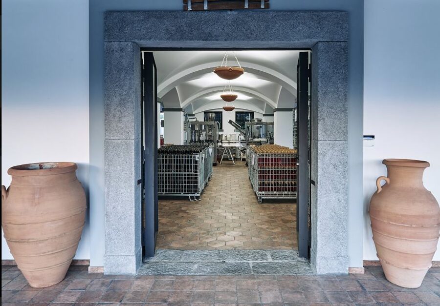 Mount Vesuvius: Vineyard Tour with Wine Tasting and Lunch - The lunch is more than a snack