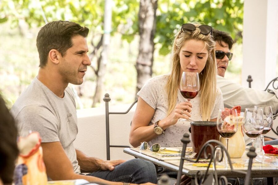 Mount Vesuvius: Vineyard Tour with Wine Tasting and Lunch - The views are part of the meal