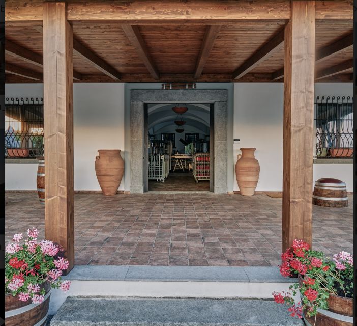 Mount Vesuvius: Vineyard Tour with Wine Tasting and Lunch - A private group with a friendly feel