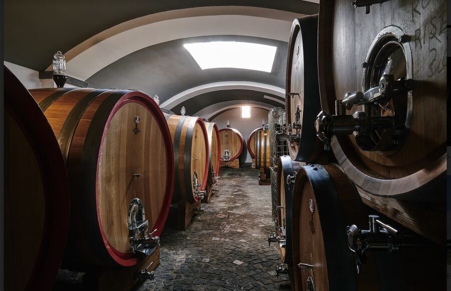 Mount Vesuvius: Vineyard Tour with Wine Tasting and Lunch - Who should book this experience