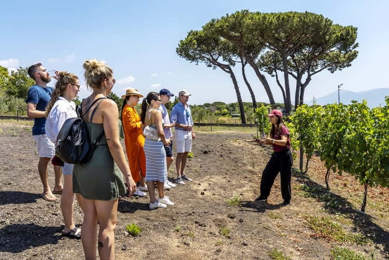 Mount Vesuvius: Vineyards Tour with Wine Tasting and Lunch - Key points to know before you book