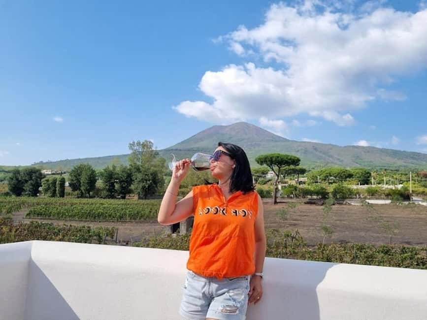 Mount Vesuvius: Vineyards Tour with Wine Tasting and Lunch - Why Vesuvius makes this tasting different