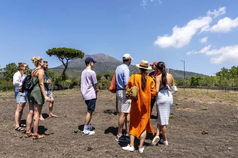 Mount Vesuvius: Vineyards Tour with Wine Tasting and Lunch - How the price compares with what you receive
