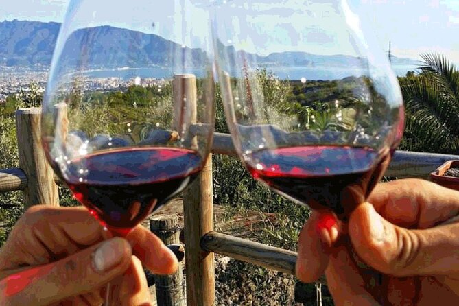 Mt. Vesuvius Tour from Naples with Lunch at a Vineyard Included - What the transfer adds, and what it does not