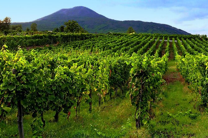 Mt. Vesuvius Tour from Naples with Lunch at a Vineyard Included - Is $108.89 a fair price?