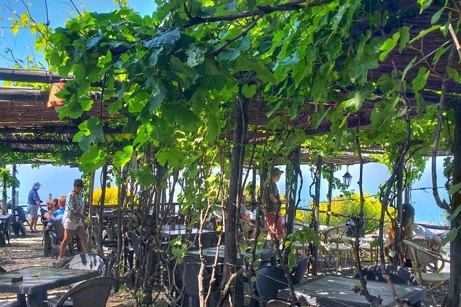 Mt. Vesuvius Tour from Naples with Lunch at a Vineyard Included - The 11 a.m. departure from Piazza Garibaldi