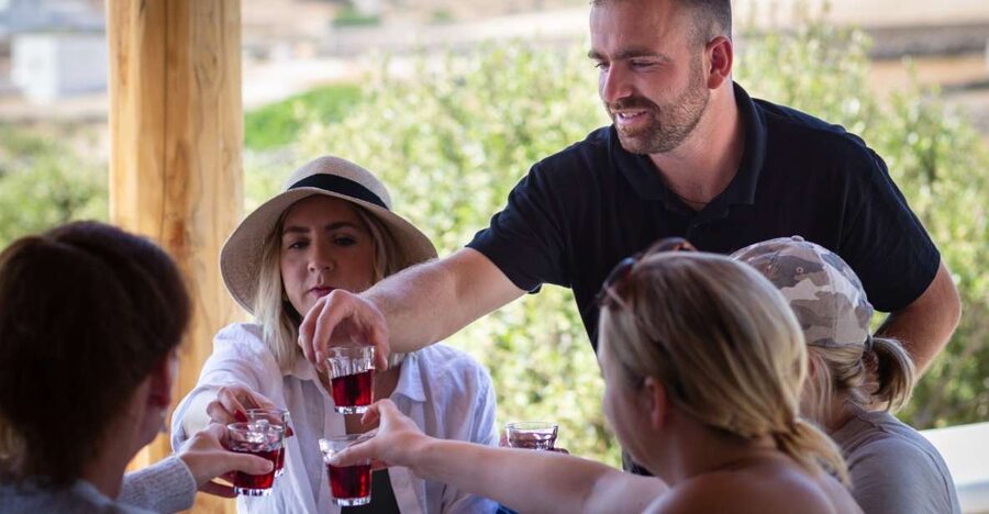 Mykonos: Winery Vineyard Experience with Food & Wine Tasting - Why this Mykonos winery visit feels different