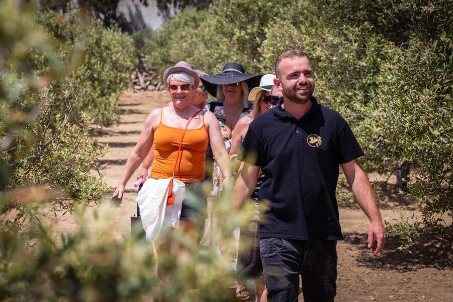 Mykonos: Winery Vineyard Experience with Food & Wine Tasting - Live Mykonian music changes the mood