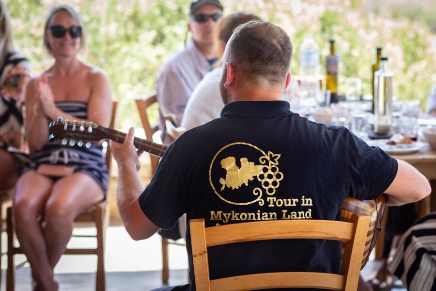 Mykonos: Winery Vineyard Experience with Food & Wine Tasting - The family welcome is part of what you are paying for