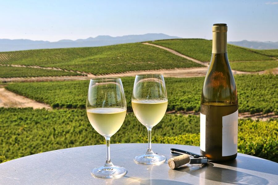 Nafplion: Nemea Vineyards Wine Tour - A second tasting in the Argolis area