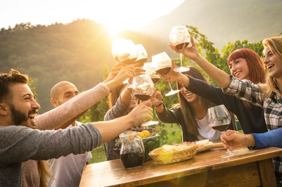 Nafplion: Nemea Vineyards Wine Tour - The best parts, and the limits