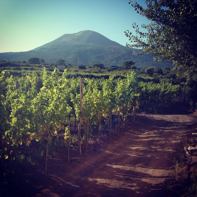 Naples: Mount Vesuvius Vineyard Tour w/ Lunch & Wine Tasting - How the timing works in real life