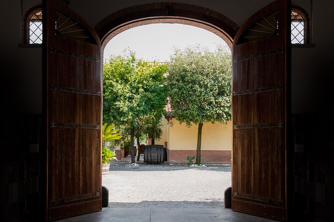 Naples Tuk Tuk Experience Views and Vineyards - Via Pacuvio and Via Alessandro Manzoni: two quick looks at the Gulf