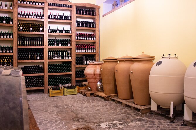 Naples Tuk Tuk Experience Views and Vineyards - Who should book this private Naples experience?