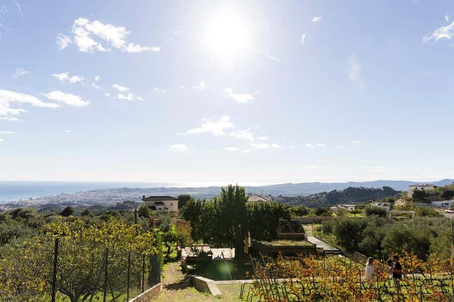 Near Malaga: Mijas Organic Vineyard, 5 Wines, 2 Oils & Tapas - Five wines with plenty of variety