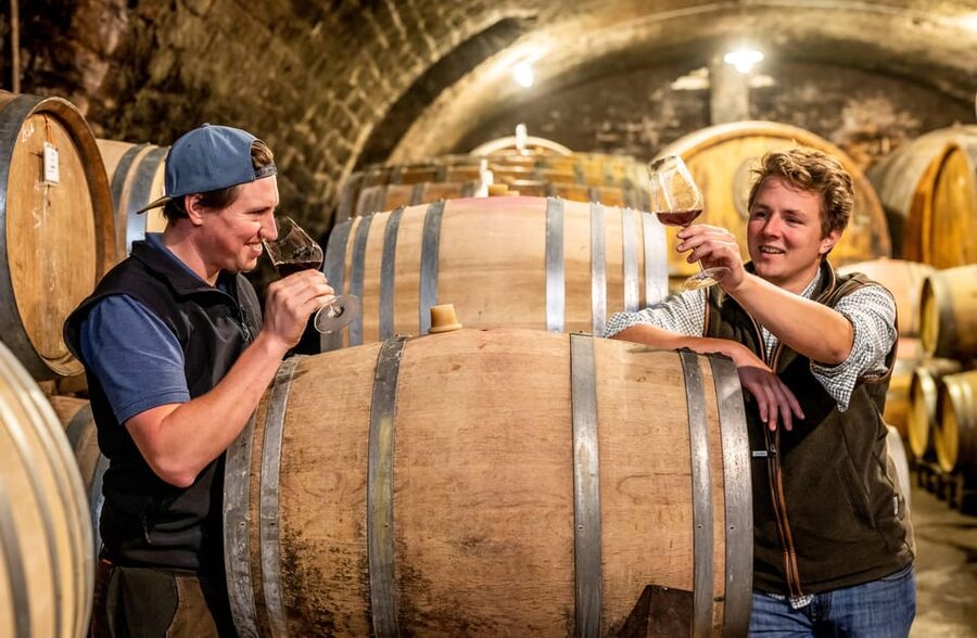 Neustadt: Wine tasting with cellar tour and vineyard visit - Language, pace, and who will enjoy it