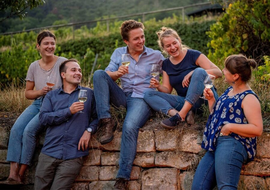 Neustadt: Wine tasting with cellar tour and vineyard visit - The garden setting and the value of good weather