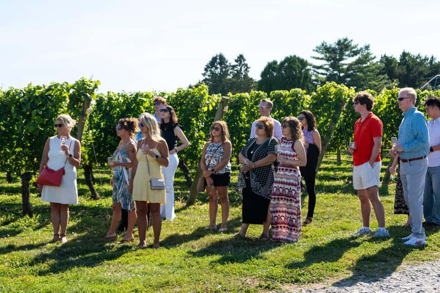 Newport: Vineyards Winery Tour + Tasting - What the $38 price includes