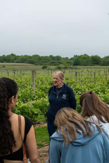 Newport: Vineyards Winery Tour + Tasting - The tasting bar and four choices