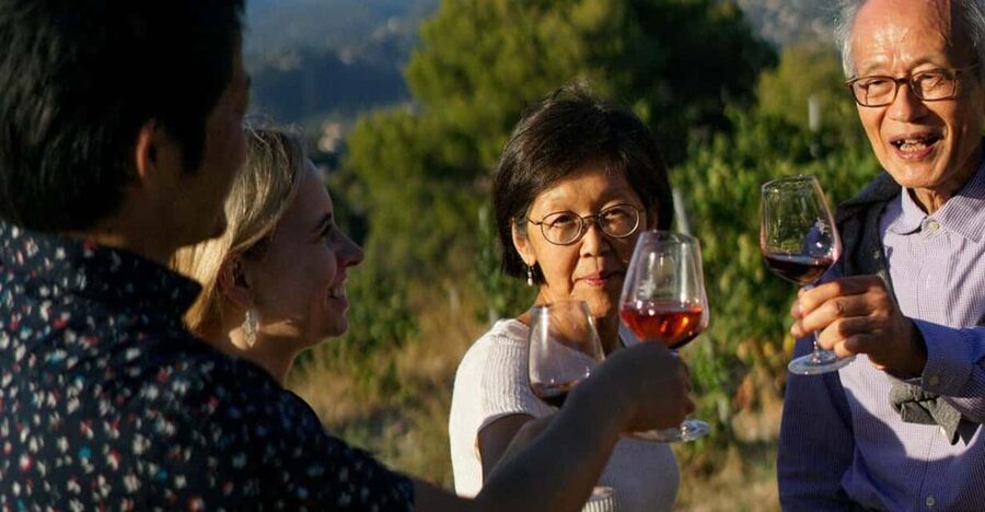 Nice: Vineyard Tour with Wine Tasting - A vineyard above Nice, not in central Nice