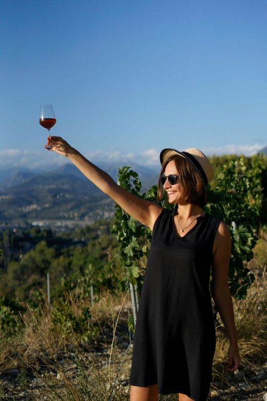 Nice: Vineyard Tour with Wine Tasting - Is the $38 price good value?