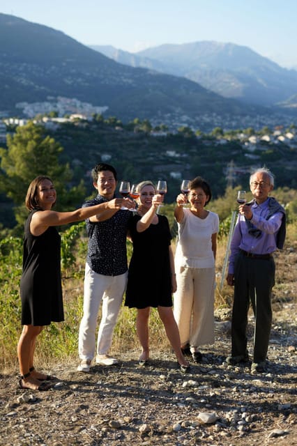 Nice: Vineyard Tour with Wine Tasting - Who should book this Nice wine tour?