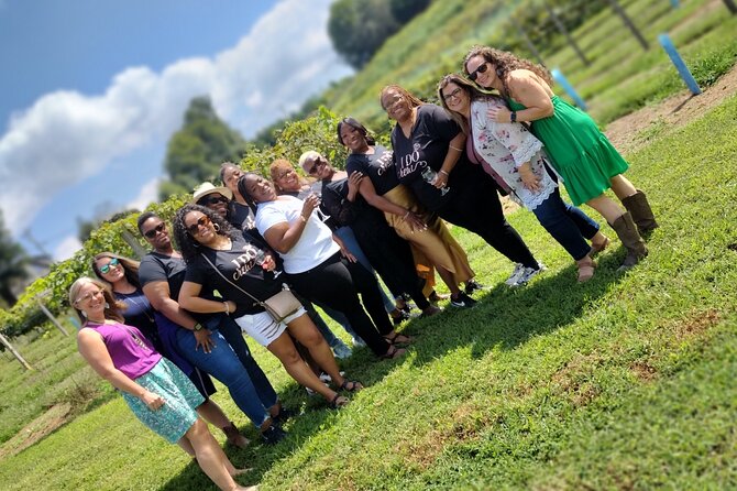 North Georgia Mountains Three Vineyard Wine Tasting Tour - The Ride From Atlanta Matters