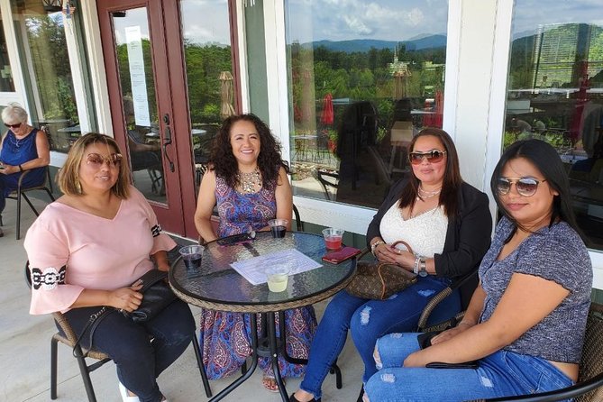 North Georgia Mountains TWO Vineyard Wine Tasting Tour - How much wine education should you expect?