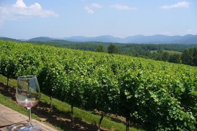 North Georgia Wine Country Tour from Atlanta - Leaving Atlanta for the North Georgia hills