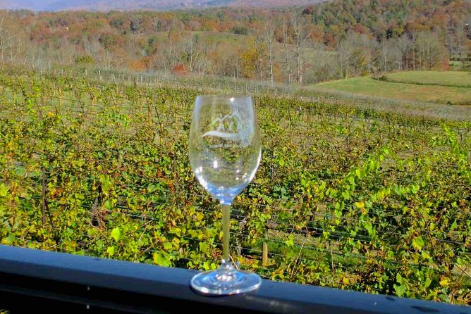 North Georgia Wine Country Tour from Atlanta - Cottage Vineyard and Winery: the third tasting stop