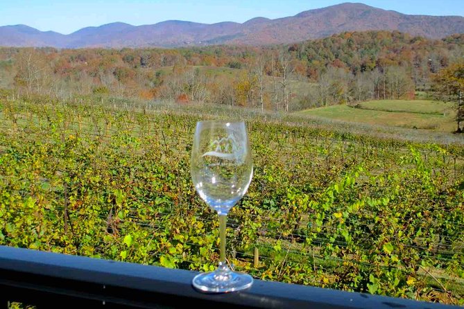 North Georgia Wine Country Tour from Atlanta - Serenity Cellars: a sociable first tasting