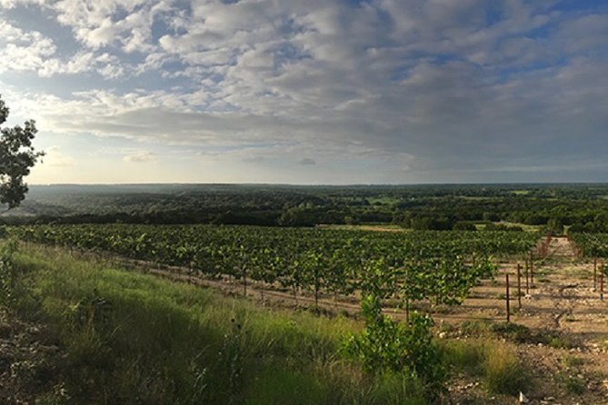 North Texas Wineries & Vineyards Tour & Tastings - Why this is an easy Fort Worth day trip