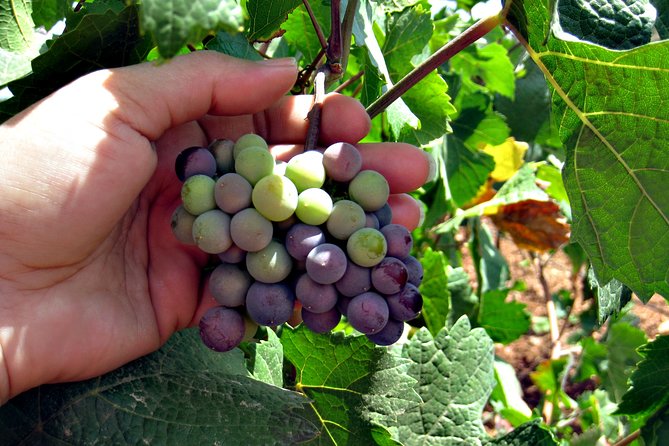 North Texas Wineries & Vineyards Tour & Tastings - Weatherford adds a second tasting style