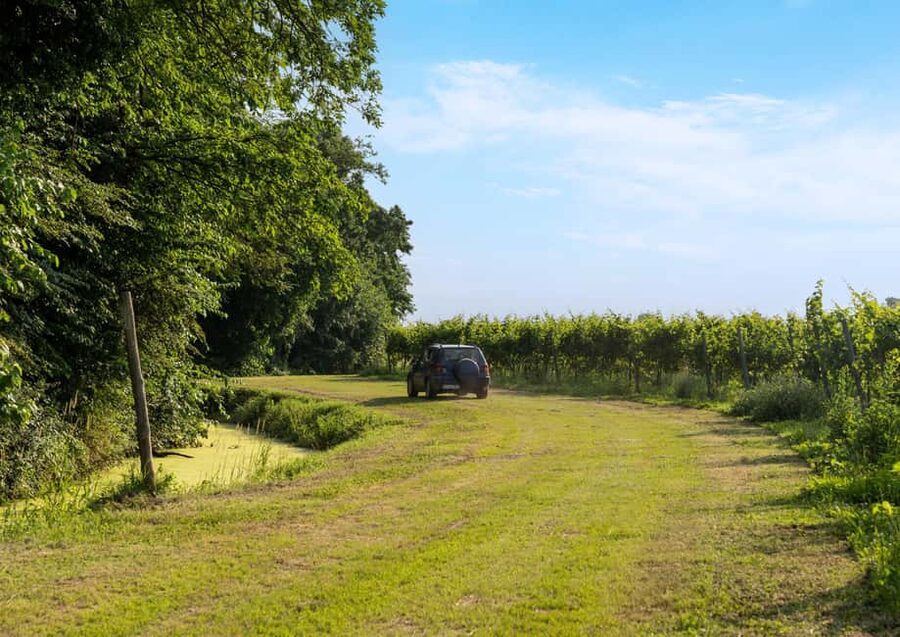 Off-road tour through vineyards and organic wine tasting at Villa Bogdano 1880 - Historic concrete tanks and modern winemaking