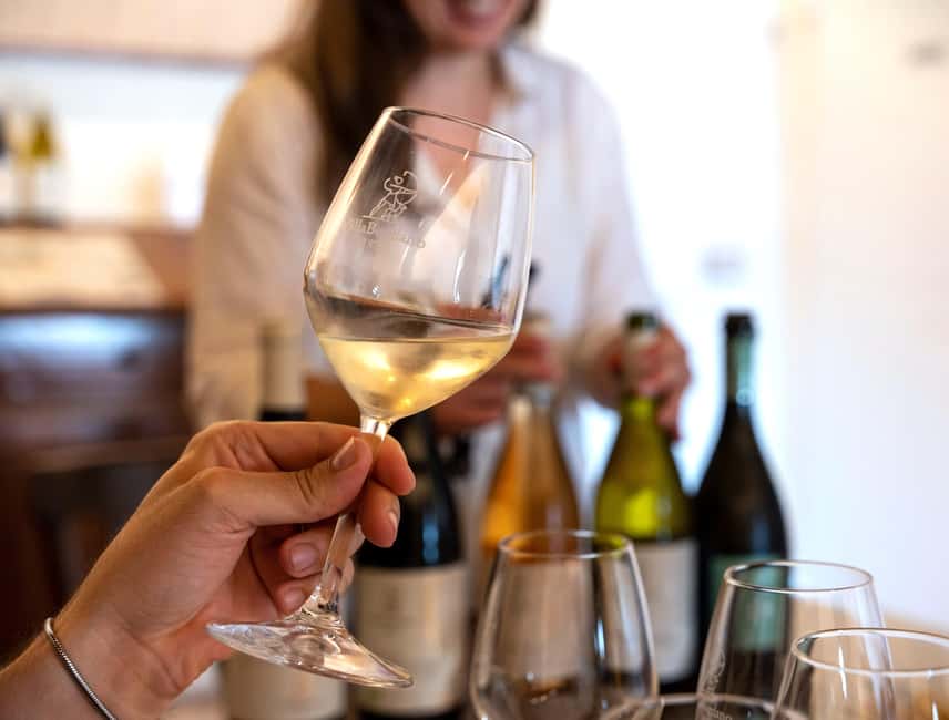 Off-road tour through vineyards and organic wine tasting at Villa Bogdano 1880 - Three organic wines in an old Venetian palace