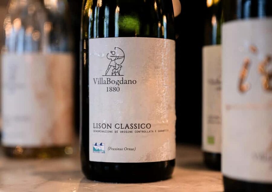 Off-road tour through vineyards and organic wine tasting at Villa Bogdano 1880 - Who will enjoy this visit most