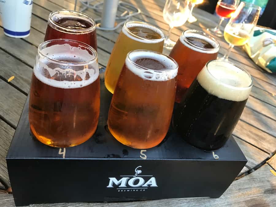 Onshore Highlights of Marlborough's Wine Region from Picton - Cellar doors, gardens, and a slower lunch option